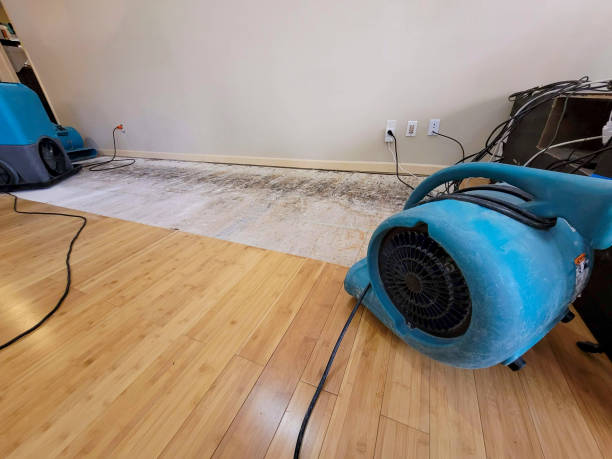 Professional Ceiling Water Damage Repair technician working in Wentworth, MO